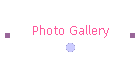 Photo Gallery